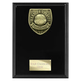 Cobra Plaque Managers Player Award -  PL25109