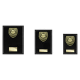 Cobra Plaque Managers Player Award -  PL25109