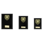 Cobra Plaque Managers Player Award - Black - PL25109