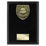 Cobra Plaque Players Player Award - Black - PL25110