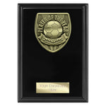 Cobra Plaque Player of Year Award - Black - PL25111