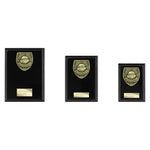 Cobra Plaque Player of Year Award - Black - PL25111