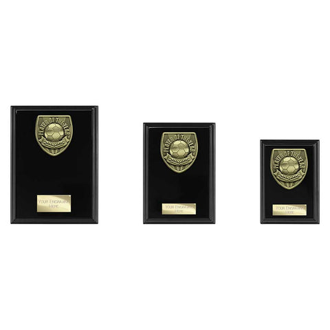 Cobra Plaque Player of Year Award - Black - PL25111