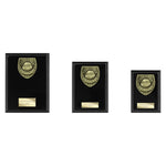 Cobra Plaque Thank you Coach Award - Black - PL25112