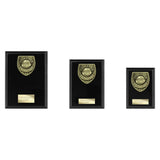 Cobra Plaque Thank you Coach Award - Black - PL25112