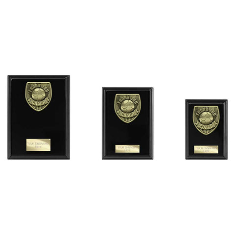 Cobra Plaque Thank you Coach Award - Black - PL25112