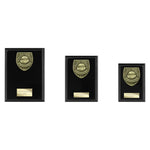 Cobra Plaque Player of Match Award - Black - PL25113