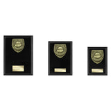 Cobra Plaque Player of Match Award - Black - PL25113