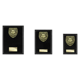 Cobra Plaque Top Scorer Award -  PL25114