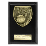 Cobra Plaque Netball Award -  PL25137