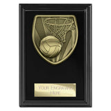 Cobra Plaque Netball Award -  PL25137