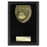 Cobra Plaque Netball Award -  PL25137