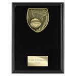 Cobra Plaque Netball Award -  PL25137