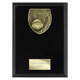 Cobra Plaque Netball Award -  PL25137