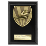 Cobra Plaque Swimming Award - Black - PL25138
