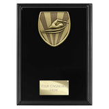Cobra Plaque Swimming Award - Black - PL25138