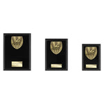 Cobra Plaque Swimming Award - Black - PL25138