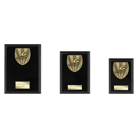 Cobra Plaque Swimming Award - Black - PL25138