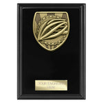 Cobra Plaque Cycling Award -  PL25139