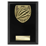 Cobra Plaque Cycling Award -  PL25139