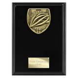 Cobra Plaque Cycling Award -  PL25139