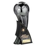 Firestorm Heavyweight Most Improved -  PM25379