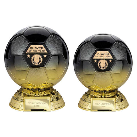 Elite Heavyweight Player of Year Award - Black|Gold - PM25401