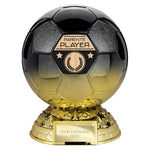 Elite Heavyweight Parents Player Award -  PM25403