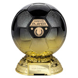 Elite Heavyweight Parents Player Award - Black|Gold - PM25403