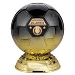 Elite Heavyweight Managers Player Award -  PM25404