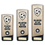 Prime Heavyweight Player of Match -  PM25432