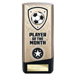 Prime Heavyweight Player of Month -  PM25440