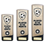 Prime Heavyweight Player of Month -  PM25440