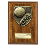 Cobra Plaque Football Boot & Ball Award - PN24195