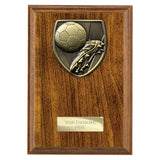 Cobra Plaque Football Boot & Ball Award - PN24195