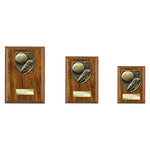 Cobra Plaque Football Boot & Ball Award - PN24195