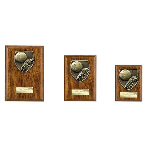 Cobra Plaque Football Boot & Ball Award - PN24195