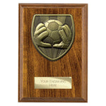 Cobra Plaque Football Goal Keeper Award - PN24202