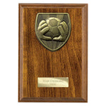Cobra Plaque Football Goal Keeper Award - PN24202