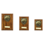 Cobra Plaque Football Goal Keeper Award - PN24202