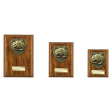 Cobra Plaque Football Goal Keeper Award - PN24202