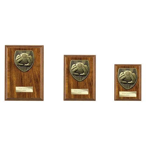 Cobra Plaque Football Goal Keeper Award - PN24202