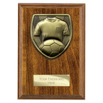 Cobra Plaque Football Shirt & Ball Award - PN24206