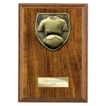 Cobra Plaque Football Shirt & Ball Award - PN24206