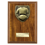 Cobra Plaque Football Shirt & Ball Award - PN24206
