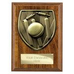 Cobra Plaque Cricket Award - PN24209