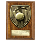 Cobra Plaque Cricket Award - PN24209