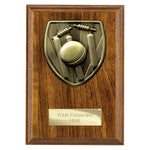Cobra Plaque Cricket Award - PN24209