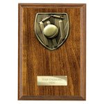 Cobra Plaque Cricket Award - PN24209