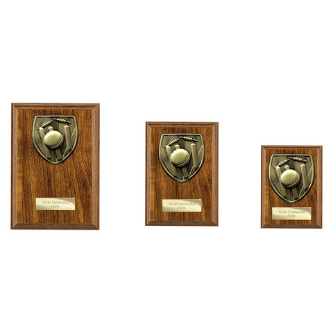 Cobra Plaque Cricket Award - PN24209